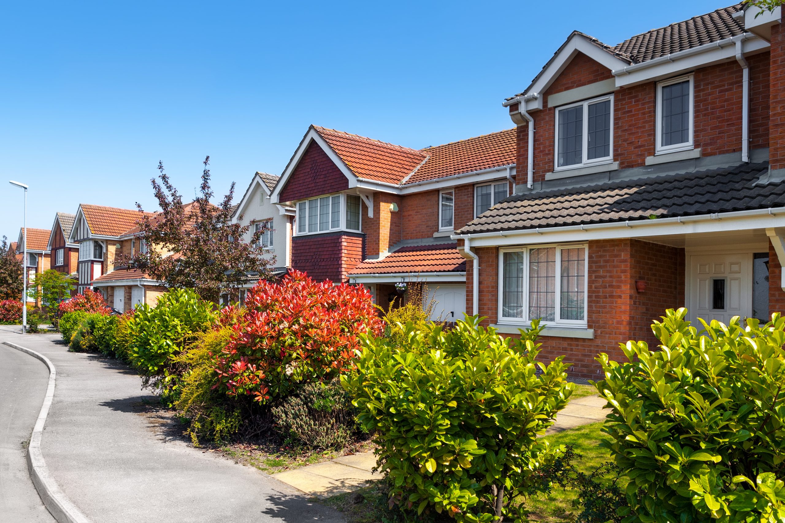 A sunny neighborhood street with a row of modern, two-story houses featuring red brick exteriors and white window frames. Well-maintained bushes and trees line the sidewalk, and the sky is clear and blue.